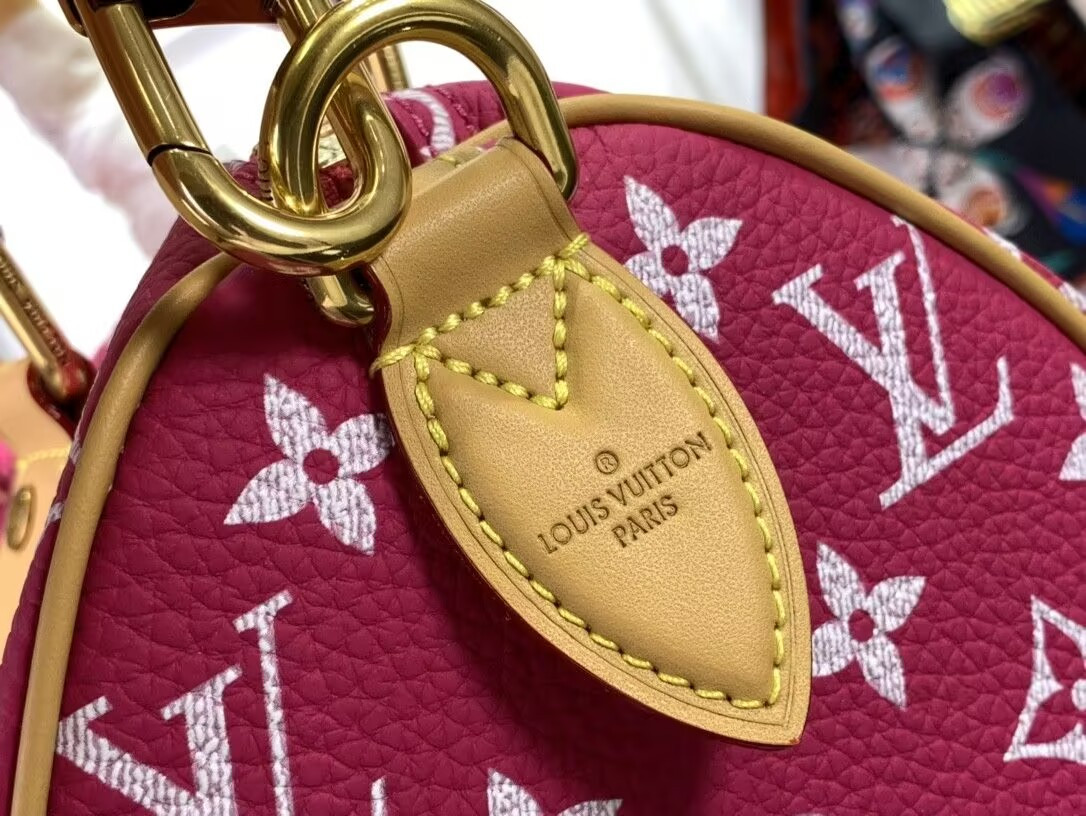 LV Speedy P9 Bandoulière 25 M11563-1