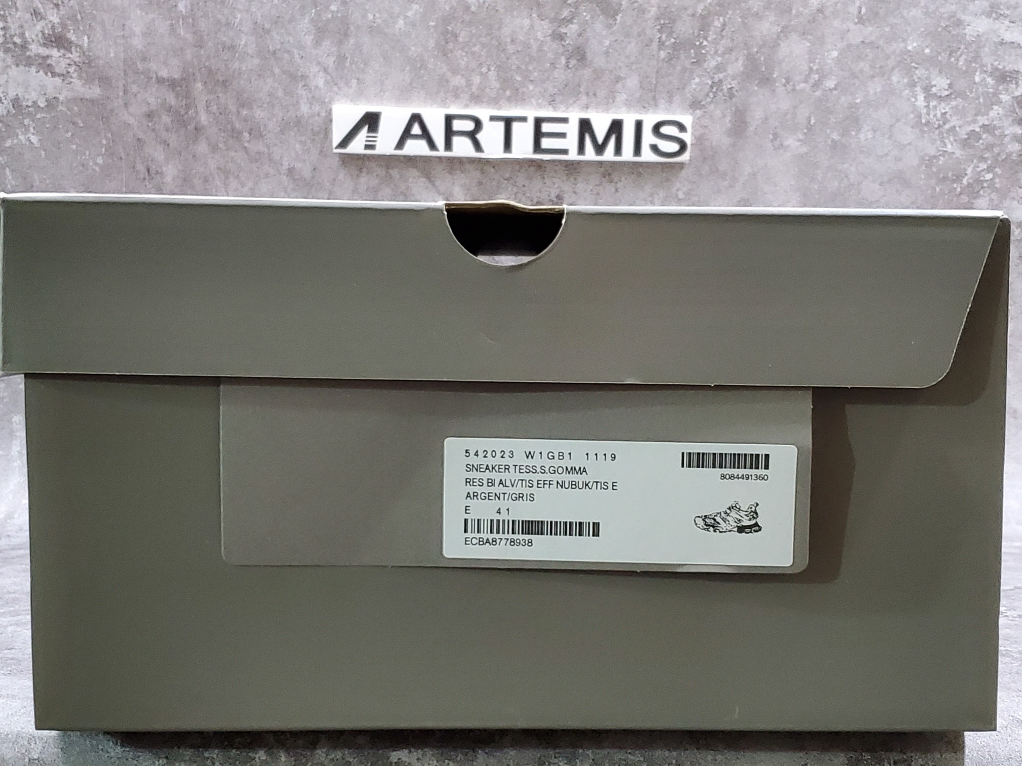 Balenciga Track 3.0 Silver Grey